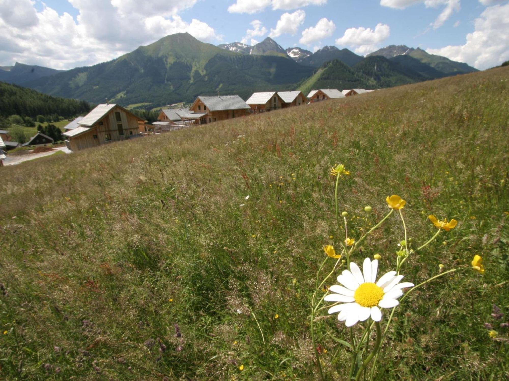 Вилла Nice Chalet In Hohentauern Styria With Sauna Экстерьер фото